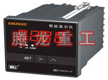 溫度表、數(shù)字顯示儀、濕度表